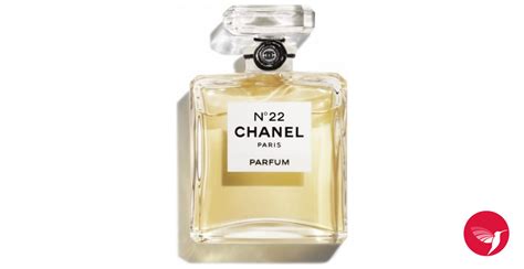 chanel 22 fragrantica|where can i buy chanel 22 perfume.